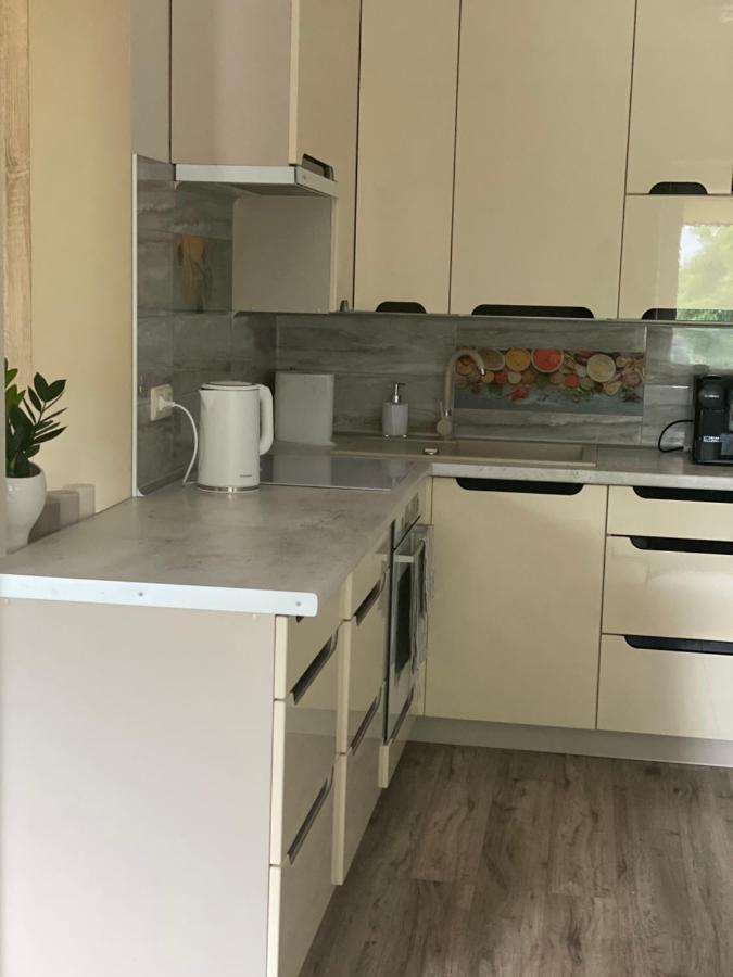 V15 Apartment Druskininkai Kültér fotó
