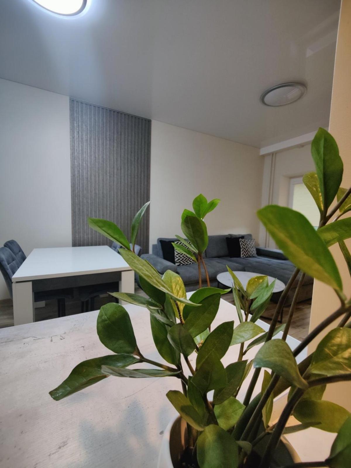 V15 Apartment Druskininkai Kültér fotó